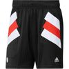 HT9842-Shorts-Icon-River-Plate